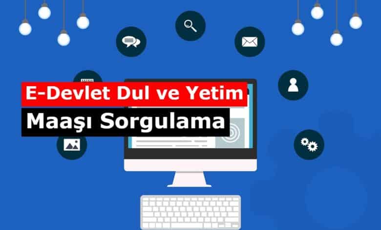 edevlet yetim ve dul maasi sorgulamasi