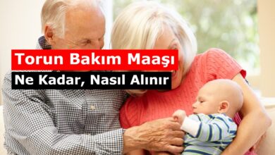 torun bakma parasi nekadar kimler alabilir