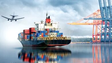 kolay ihracat platformu