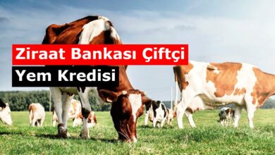 ziraat bankasi yem kredisi nasil alinir sarlari