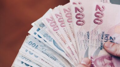 355 intibak zammi nezaman