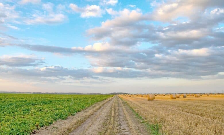 hazine arazileri satisa cikiyor