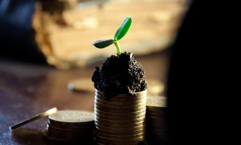 bes katilanlara tavisyeler