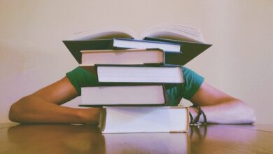 egitim icin ucretsiz izinde olanin sgk primleri