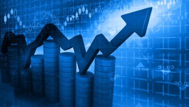 ekonomi nasil buyudu