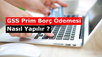 online gss prim borcu ode