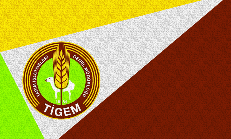 tigem 145 personel alacak