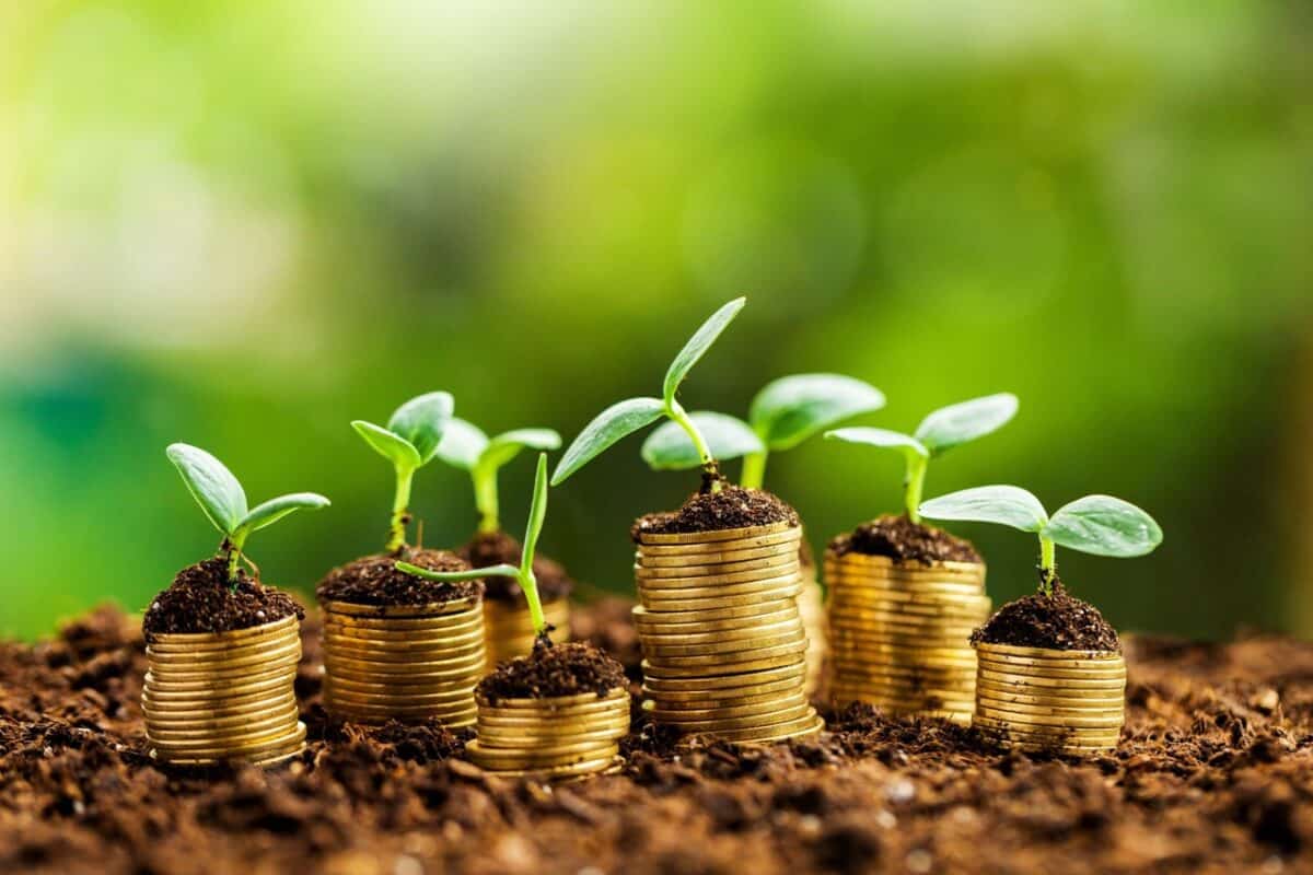 100 Bin TL Sıfır Faizli Tarım Hayvancılık Kredisi 2021