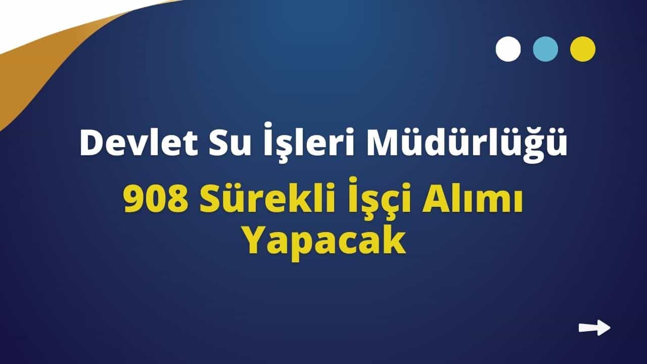 dsi 908 personel alimi