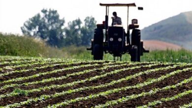 Çiftçi Belgesi Nasıl Alınır